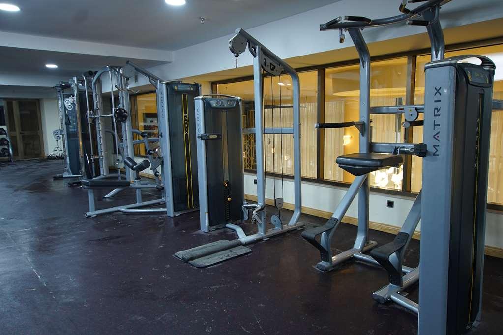 Best Western Premier Dynasty Addis Abeba Fasiliteter bilde